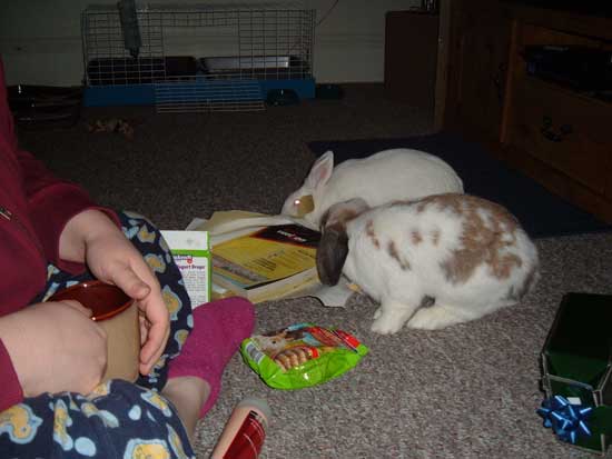 betsy and gus open their present