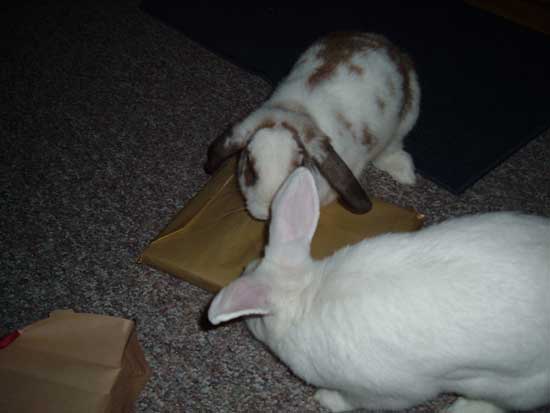 betsy and gus opening a present