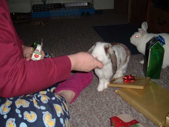 betsy eats her present