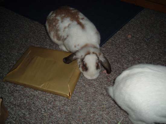 betsy opening a present