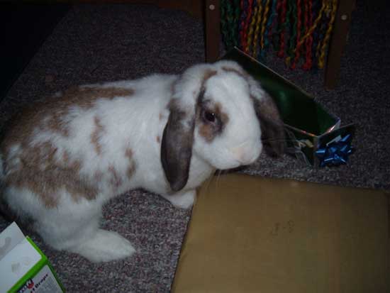 betsy opening a present