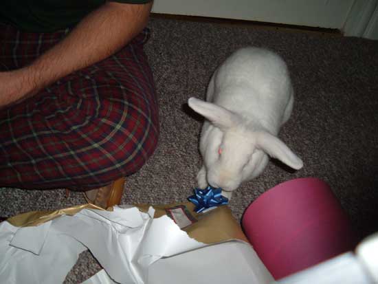 gus examining presents